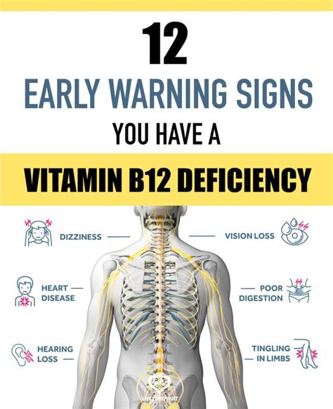 According to an expert, the lower the vitamin B12 level there is in your body, the more probable it is for you to develop periodontitis and tooth loss. . Vitamin b12 deficiency jaw pain